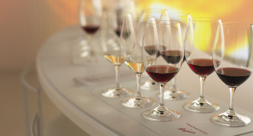 Wine tasting set up for Transcend by Penfolds